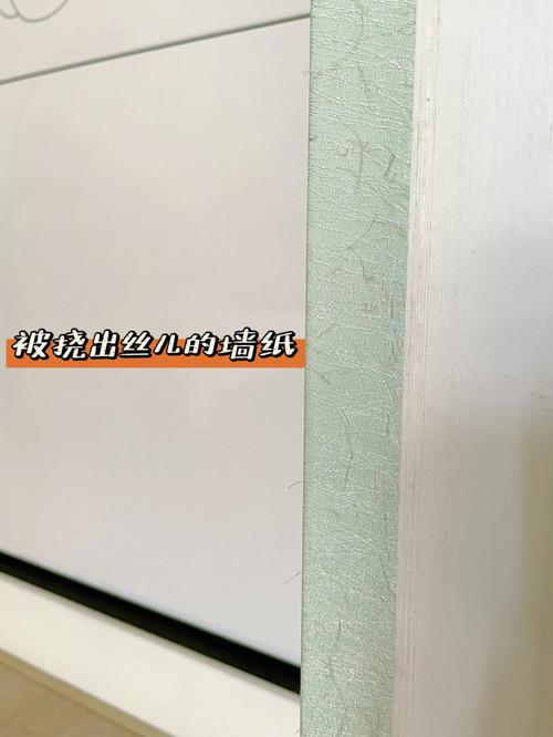 养猫的风水作用和讲究