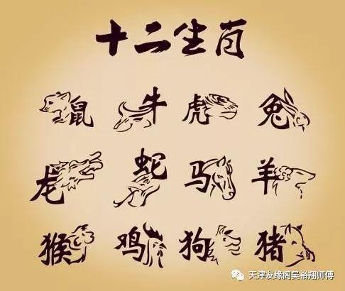 生肖猴冲什么生肖