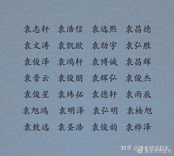 袁姓100分男孩名字大全