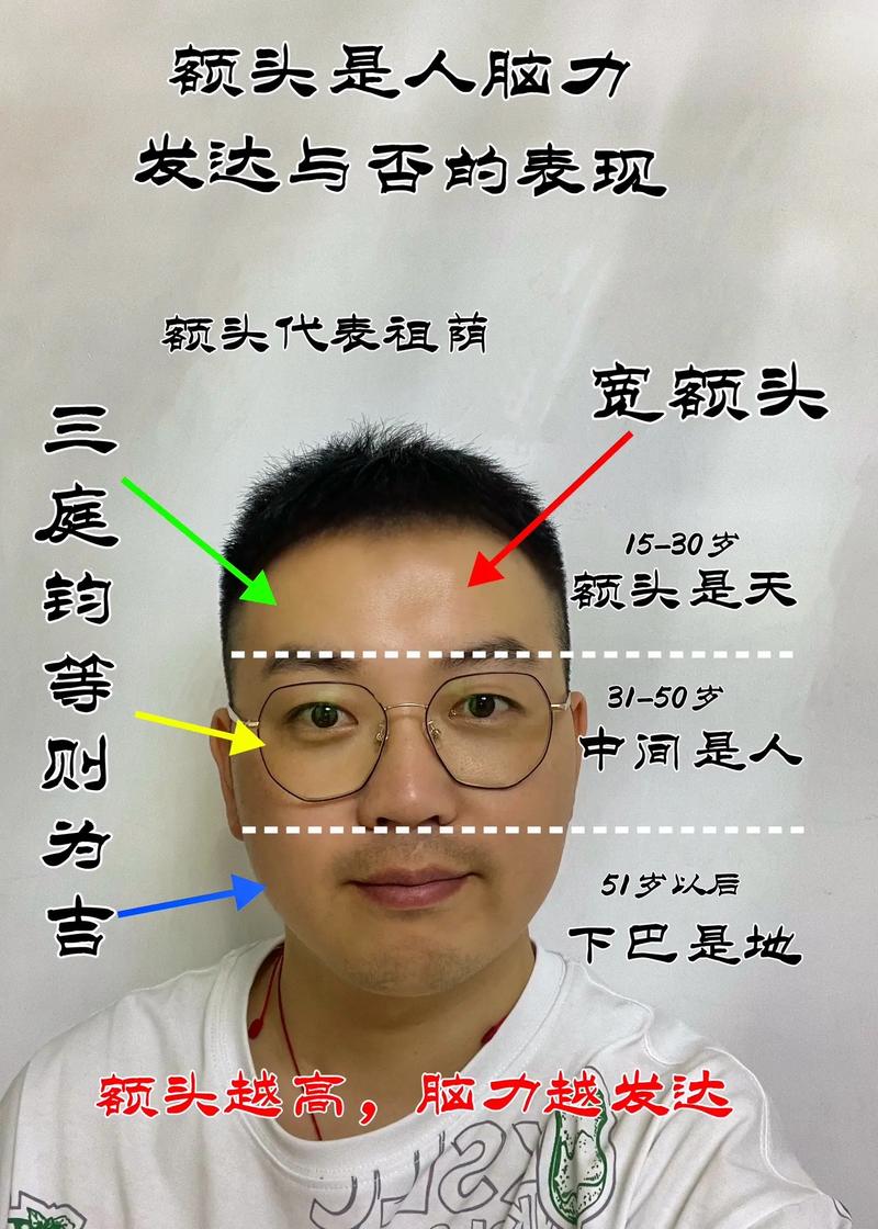 面相五官看健康——眉毛