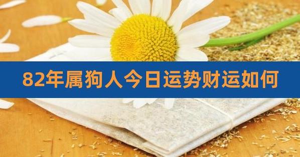 属狗人2016年运势