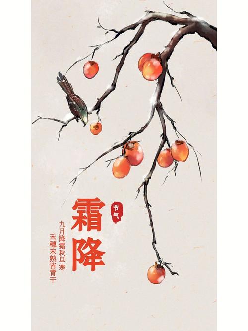 霜降生孩子有什么说法