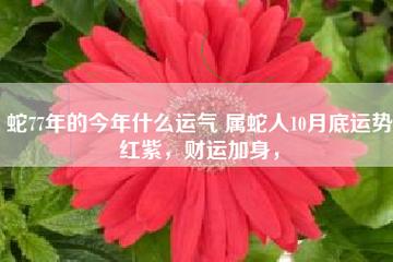 2021年下半年属蛇人偏财运好吗