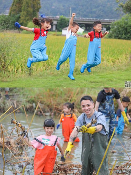 梦见挖莲藕是什么预兆呢