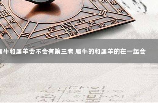属牛和属羊会不会有第三者