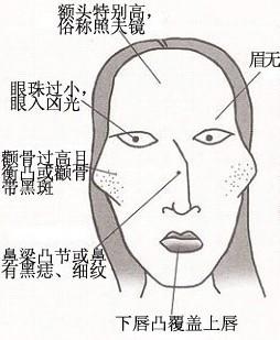 十种男人至爱的女人面相揭秘
