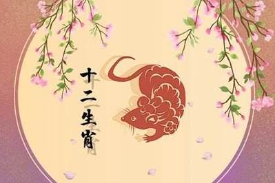 1987年属兔男性鼠年运势
