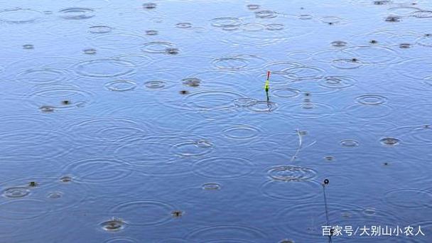 梦见钓鱼的时候涨水是好梦吗?