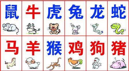 属虎的人与什么属相相克