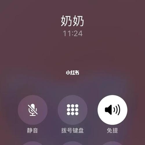 当地震来临,属马的第一个电话会打给谁