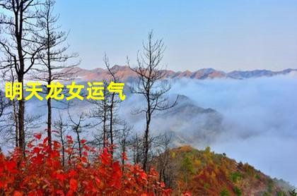 64女龙2020运势