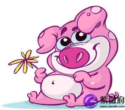 2019年属猪贵人生肖属相是什么?属猪的贵人生肖一览!