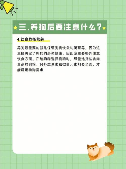属牛的人要养狗,必须注意这些