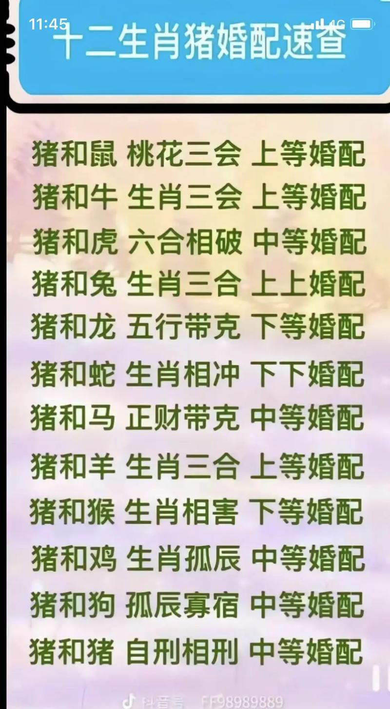下下等婚配什么意思