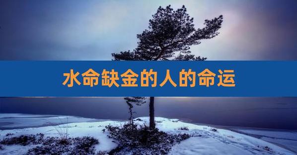 水中金命命中缺什么