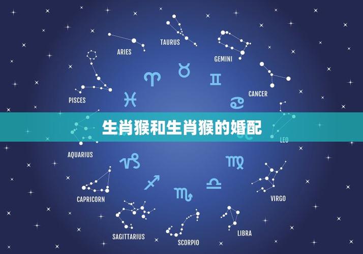生肖配对:男猴的生肖婚配!