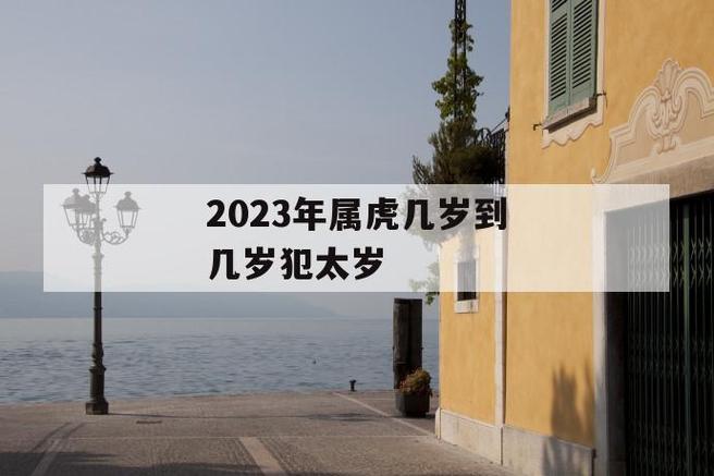 属虎的人今年多大了2023年