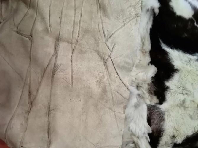 梦见动物皮毛是什么意思