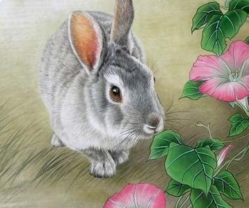 属兔的人2011几月好