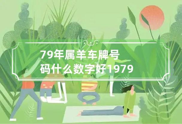 79年的羊车牌应该选什么数字好