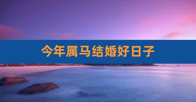 属马的和属马的结婚