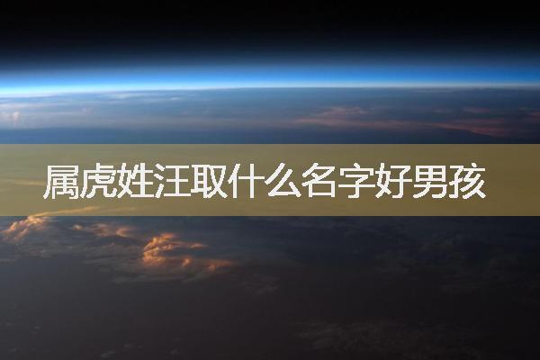 虎年生男孩叫什么名字最好姓汪