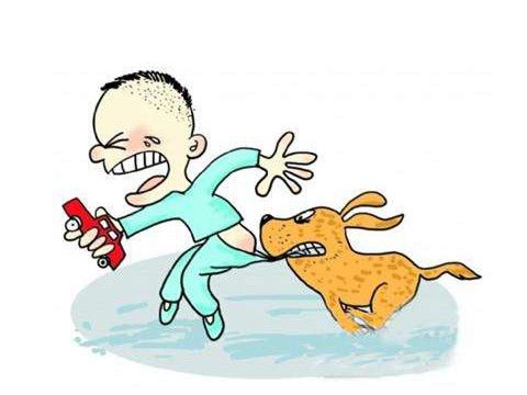 梦见狗咬住不放