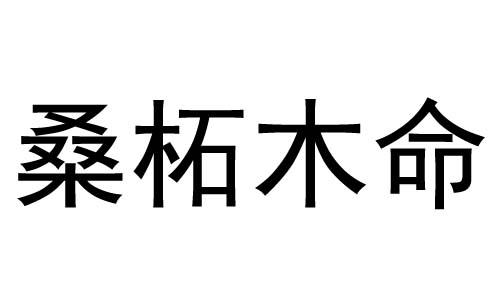 桑柘木命的人是富贵命吗