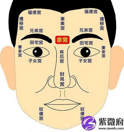 田宅宫如果看财富要怎么看