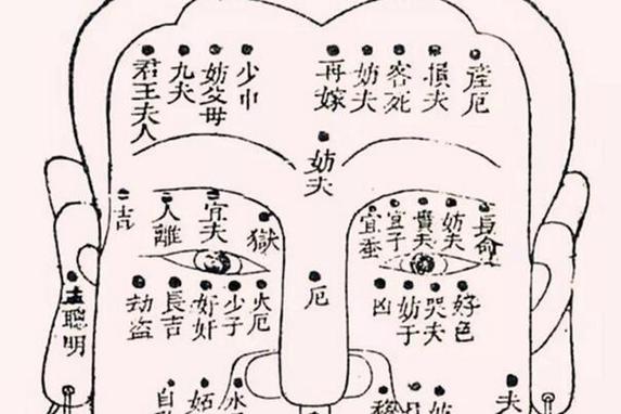 八字中的子女宫在哪,八字中子女宫怎么看