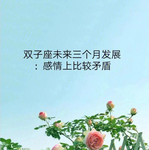 双子座动感情的表现
