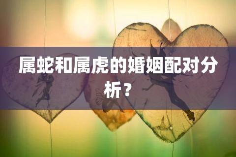男虎和女蛇其实非常配为什么