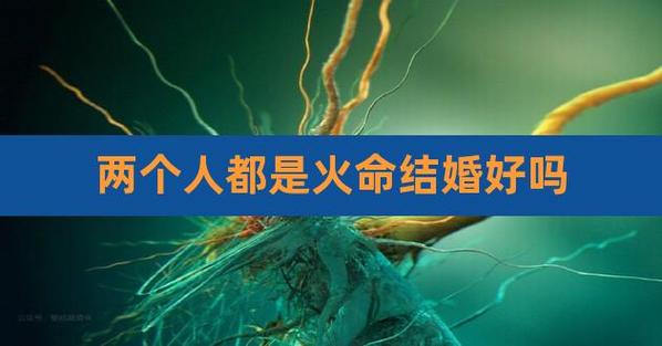 两个火命人结婚好吗