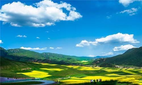 周公解梦梦见草原