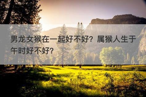 男龙女猴婚姻能配吗？属猴人生于未时好不好？