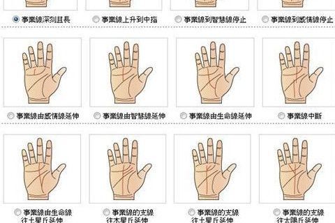 感情线弯曲程度看爱情运势