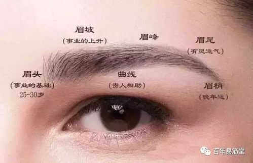 全面解说眉峰高的女人面相