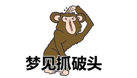 梦见抓破头