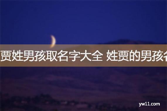鸡年贾姓男孩大气响亮的名字