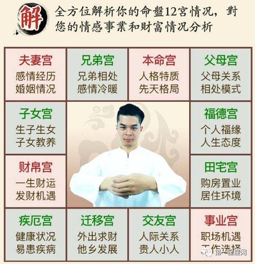 父母宫以及各星入父母宫代表什么?