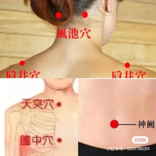 考试周,属羊如何备战期末考