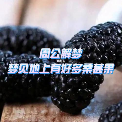 梦见摘桑果