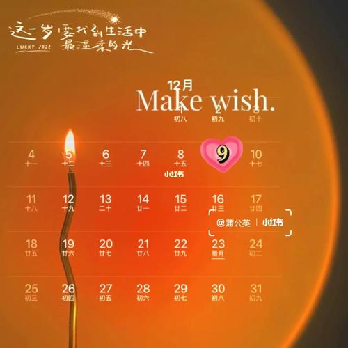 12月9日生日书，12月9日出生的人性格详解