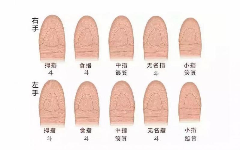 手螺纹10口诀 手上一螺到十螺的说法