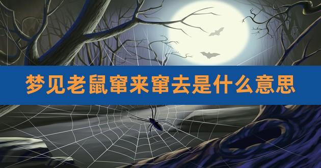 梦见老鼠乱窜是什么意思