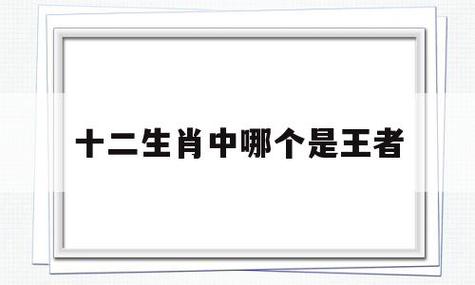 哪些生肖是最容易成王者的