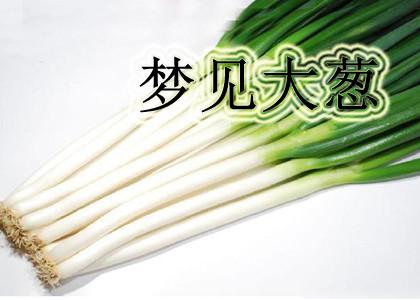 梦见大葱