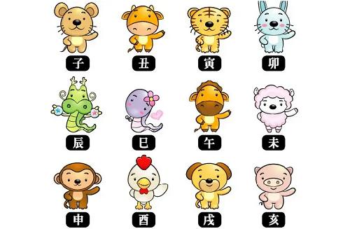 12年属什么生肖,一生运势如何