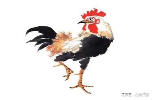 生肖鸡2021年有横财出现吗,属鸡人最容易发财的年龄