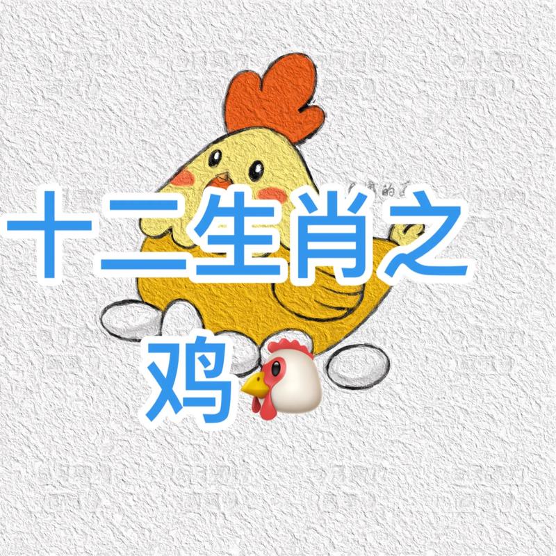 十二生肖档案 - 生肖鸡
